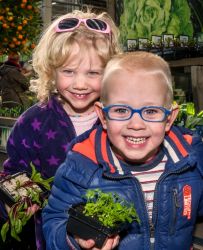 Kleine moestuintjes worden groot!