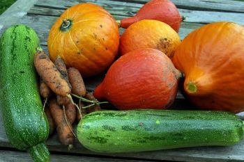 Courgettes en pompoenen