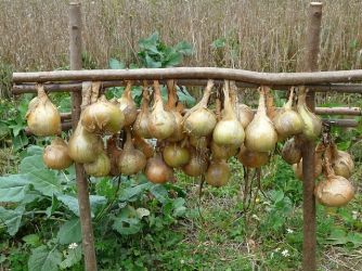 De tuin lenteklaar maken