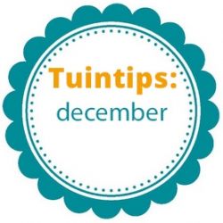 Wat te doen in de tuin in december?