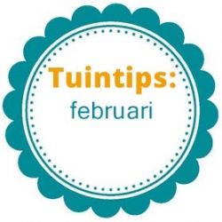 Wat te doen in de tuin in februari?