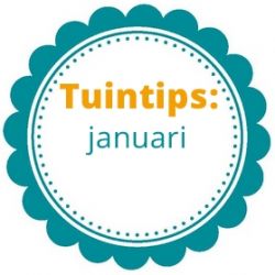 Wat te doen in de tuin in januari?