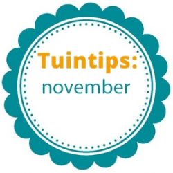 Wat te doen in de tuin in november?