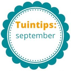 Wat te doen in de tuin in september?